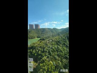渣甸山 - 淺水灣道3號 06