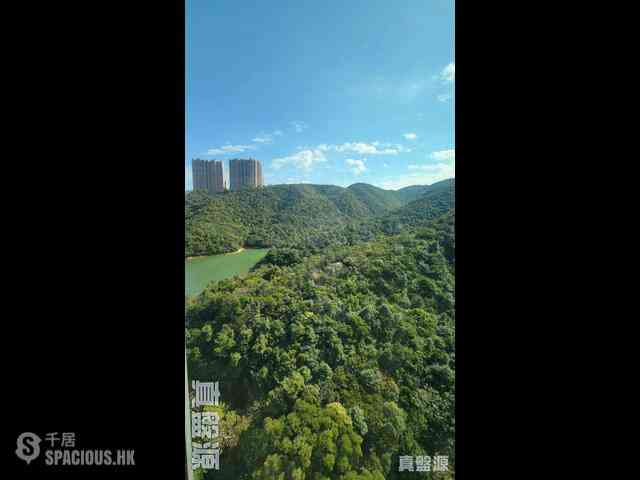 渣甸山 - 淺水灣道3號 06