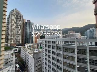 西营盘 - 63 Pokfulam 08