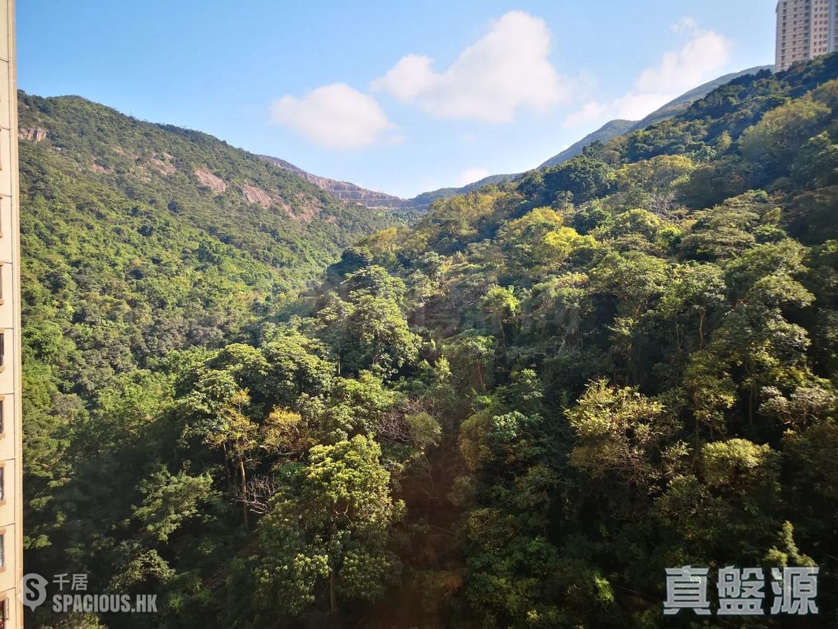 大坑 - 龙华花园 01