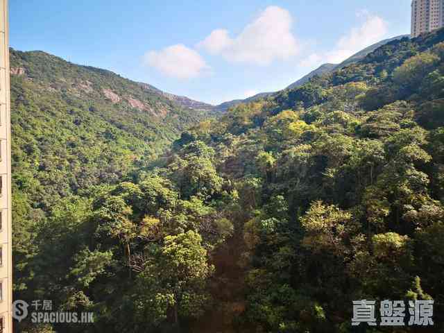 大坑 - 龍華花園 01