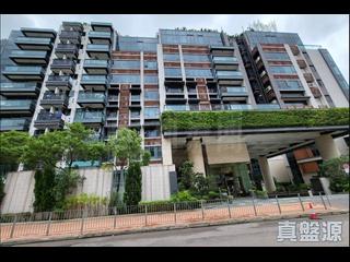 九龙塘 - 贤文礼士 03