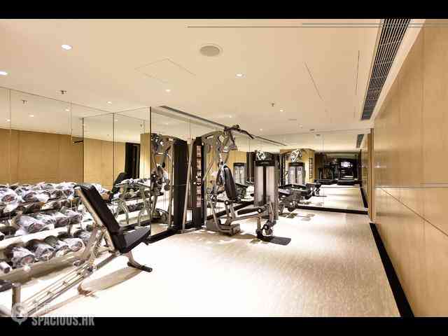 Mid Levels Central - 3, MacDonnell Road 15