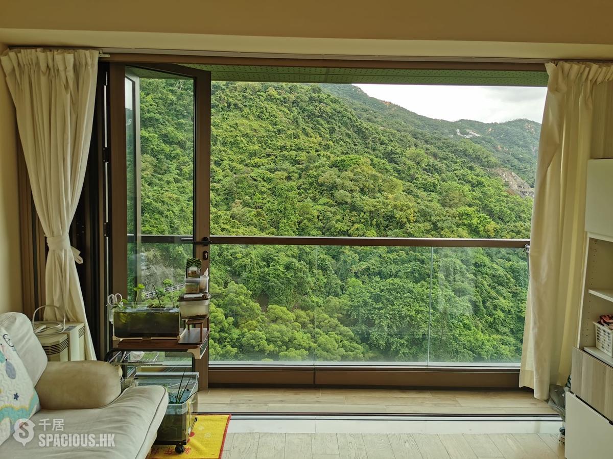 Shau Kei Wan - Island Garden 01