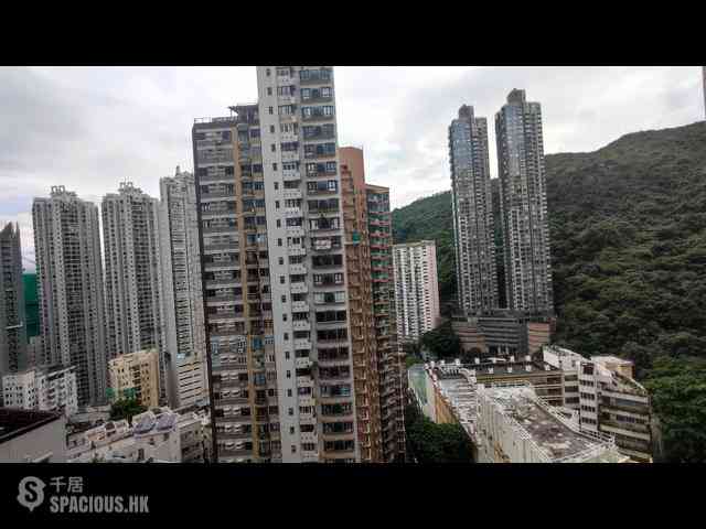 Tai Hang - Yukon Heights 04
