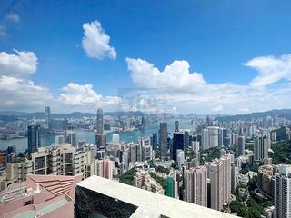 中半山 - 地利根德阁3座 03