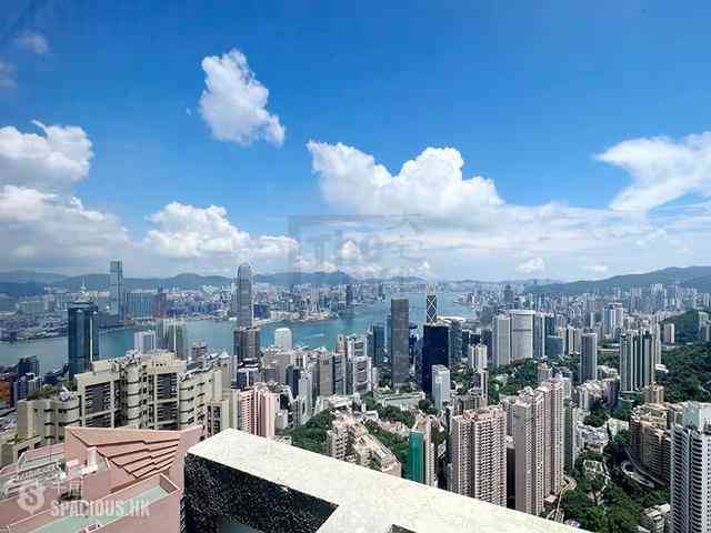 中半山 - 地利根德閣3座 03