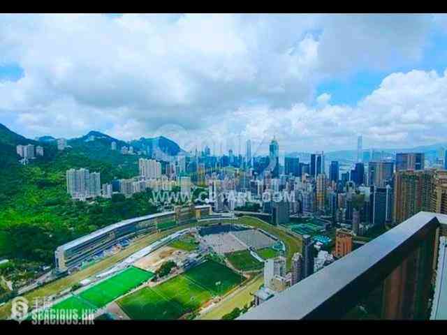 跑马地 - 乐天峰 01