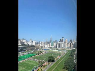 跑马地 - 金鞍大厦 06