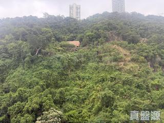 東半山 - 慧景臺 02