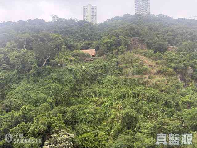 東半山 - 慧景臺 02