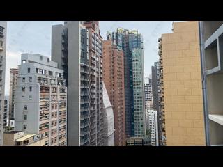 中半山 - 宾士花园 14