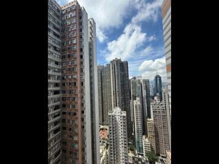 中半山 - 敦皓 17