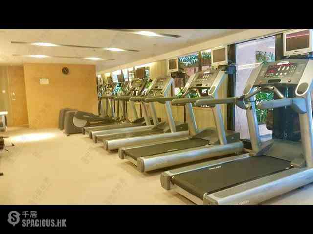 Central - The Albany 17
