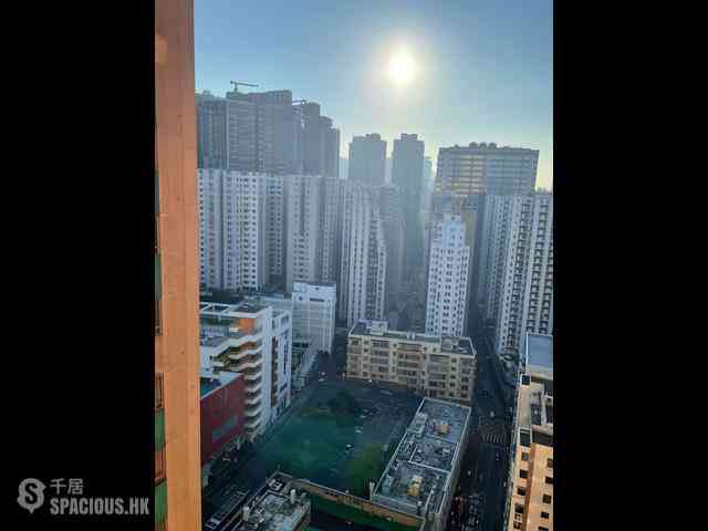 鲗鱼涌 - 健康村 01