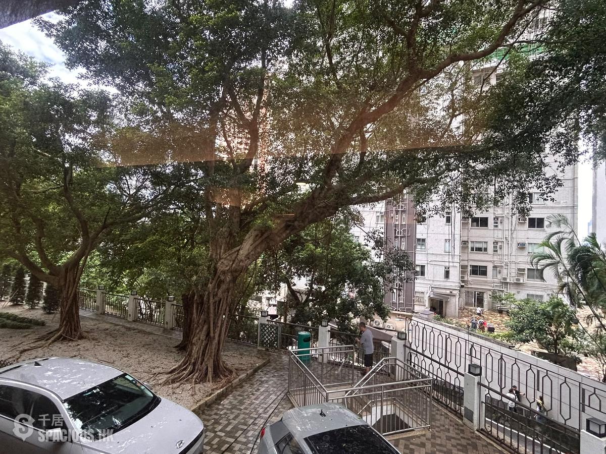 中半山 - 錦園大廈 01