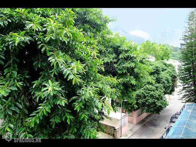 薄扶林 - 帝銮阁 36