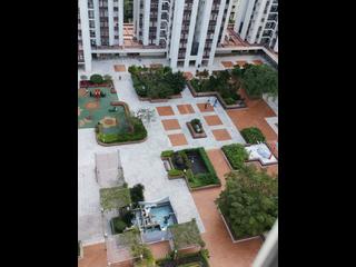 Tai Koo Shing - Tai Koo Shing Sing Fai Terrace Ngan Sing Mansion 02