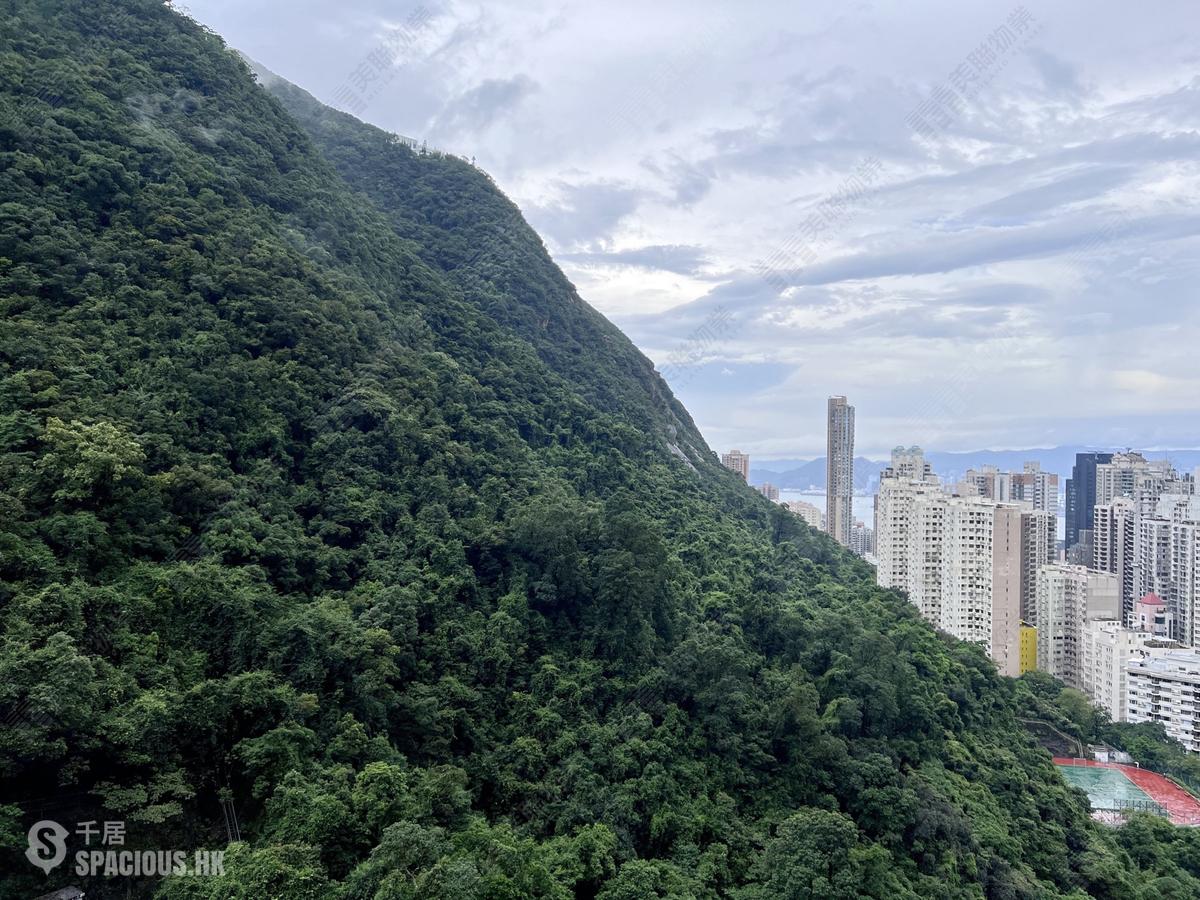中半山 - 曉峰閣1座 01
