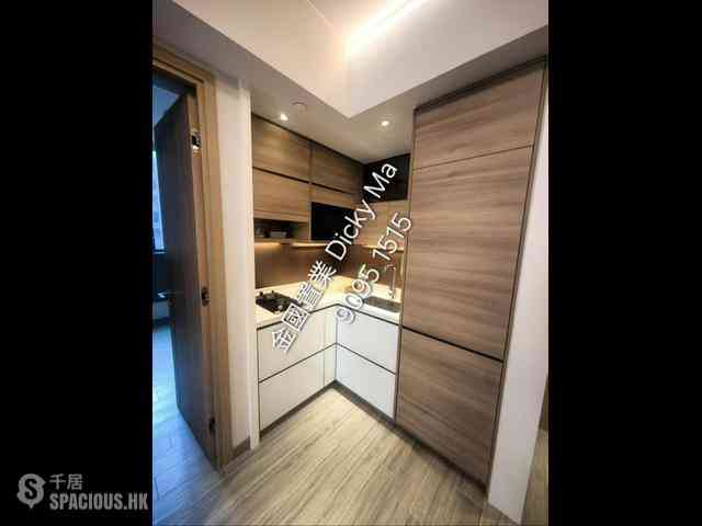 Jordan - Arbour 08
