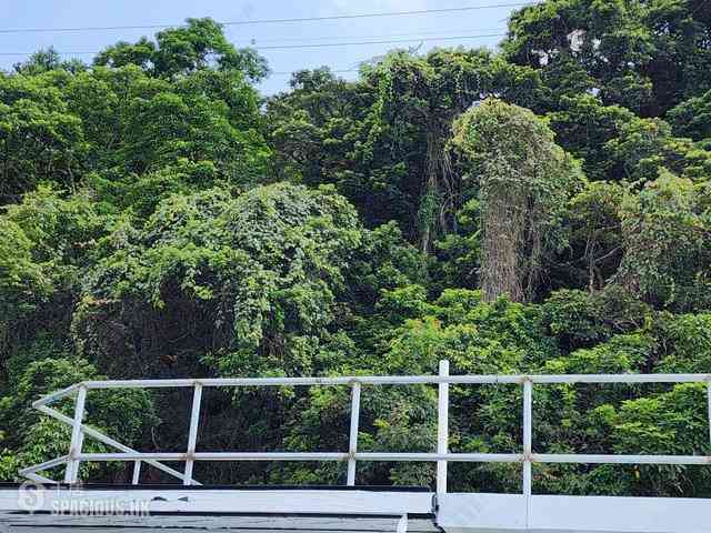 中半山 - 寶雲道16號 15