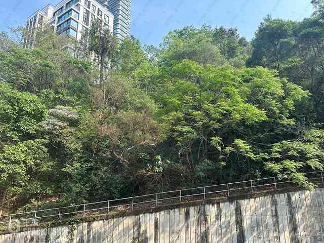 Mid Levels West - Skyline Mansion Block 1 14