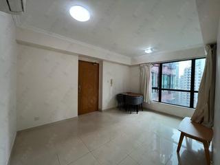 Mid Levels West - Wilton Place 04