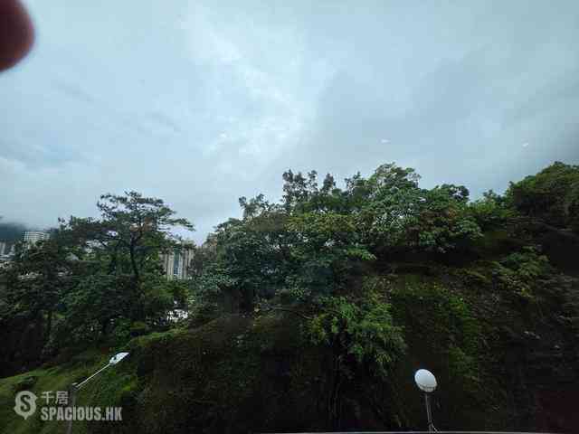 大坑 - 瑞士花園2座 (CD座) 02