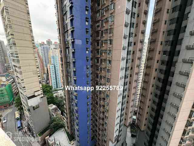 Soho - Centrestage 08