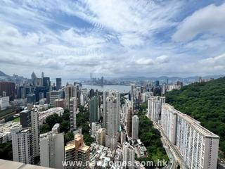 Tai Hang - The Signature 03