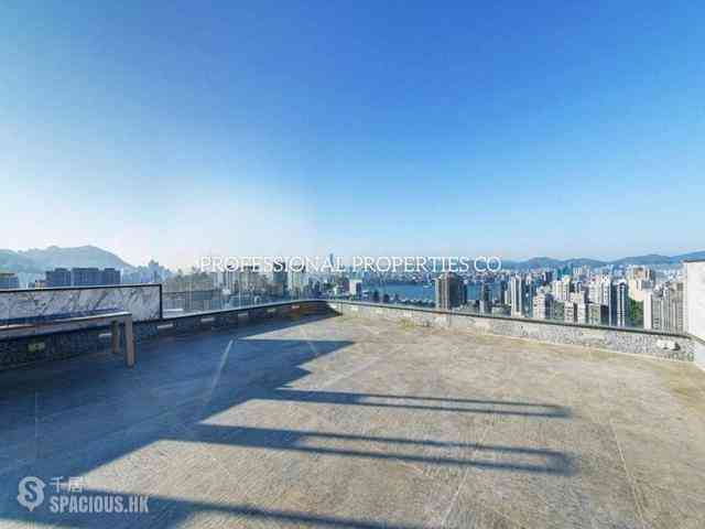 大坑 - 柏園 01