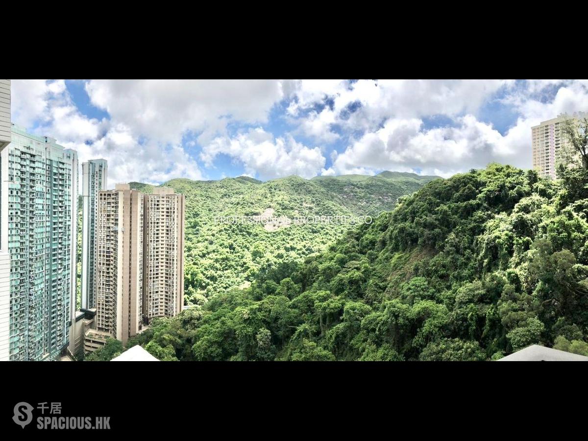 大坑 - 慧景园 01