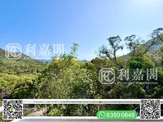 Sai Kung - Tai Mong Tsai 27