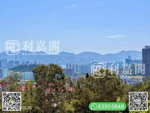 清水灣 - 溫莎堡 02