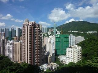 司徒拔道 - 紀園 02
