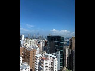 北角 - 港运城 03