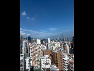 北角 - 港运城 04
