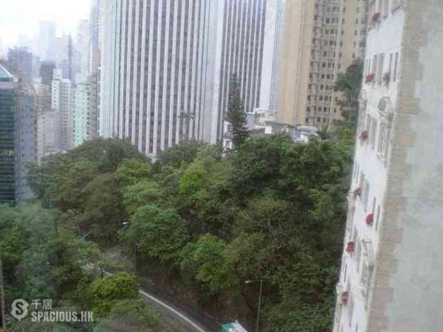 東半山 - 金樱阁 22