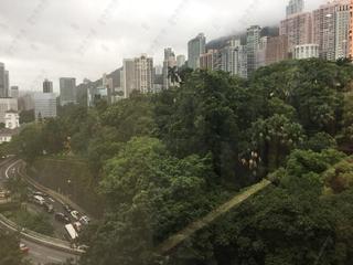 中环 - 宝林阁 03