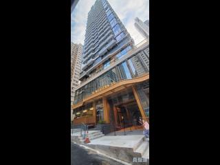 Sai Ying Pun - 15 Western Street 06
