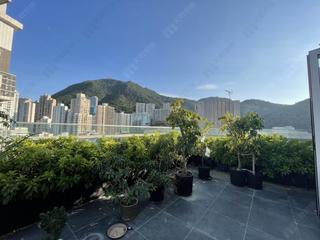 Sai Ying Pun - The Summa 12