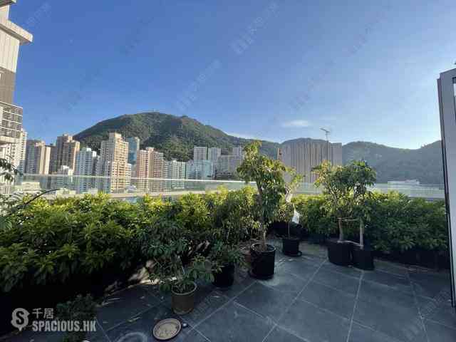 Sai Ying Pun - The Summa 12