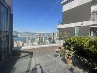Sai Ying Pun - The Summa 14