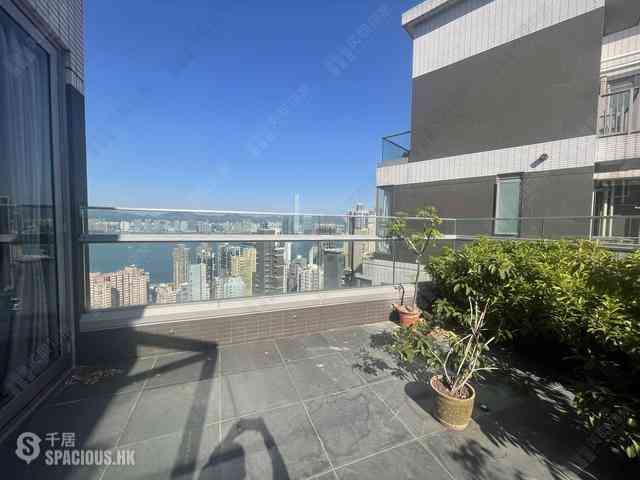 Sai Ying Pun - The Summa 14