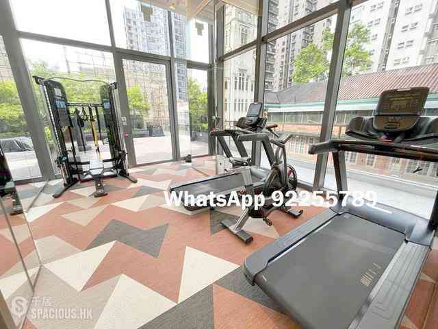 Sai Ying Pun - 15 Western Street 09