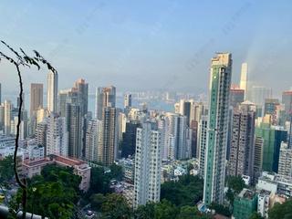Mid Levels West - Hong Kong Garden 05