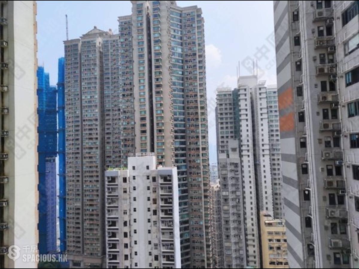 中半山 - 敦皓 01