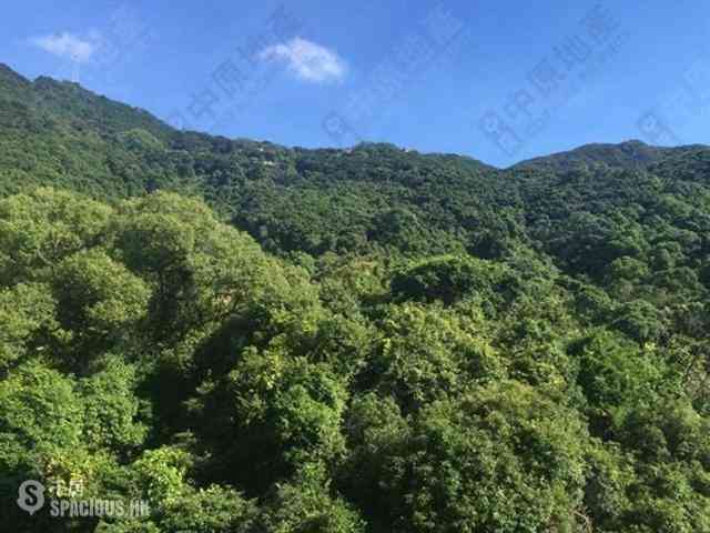 西半山 - 杏彤苑 06
