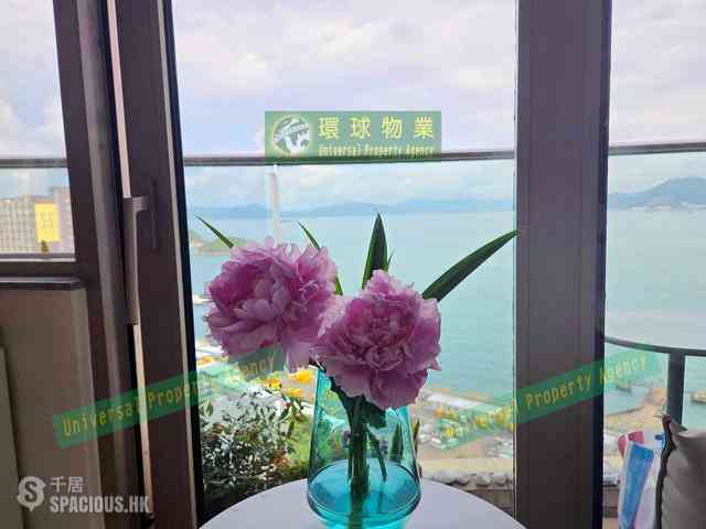 坚尼地城 - 加多近山 01