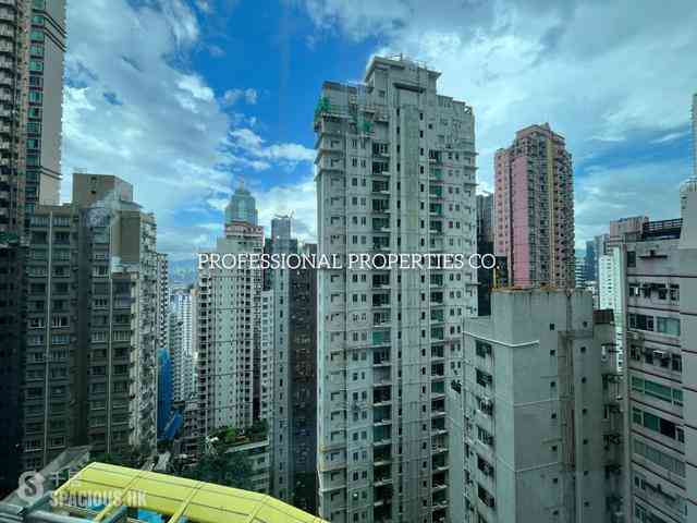 Mid Levels Central - Palatial Crest 07